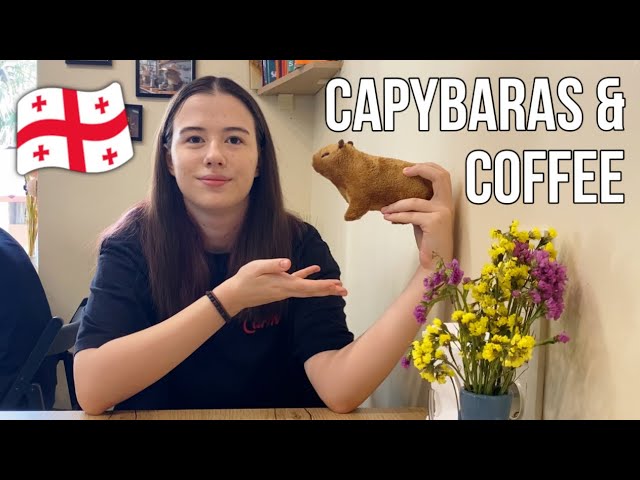 Are skyscrapers ruining the vibe? Batumi, Georgia vlog: birds, coffee and capybaras