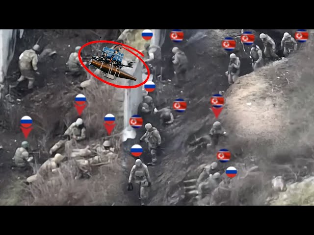 Ukrainian FPV drones brutally take out North Korean & Russian elite forces in mass infantry assaults