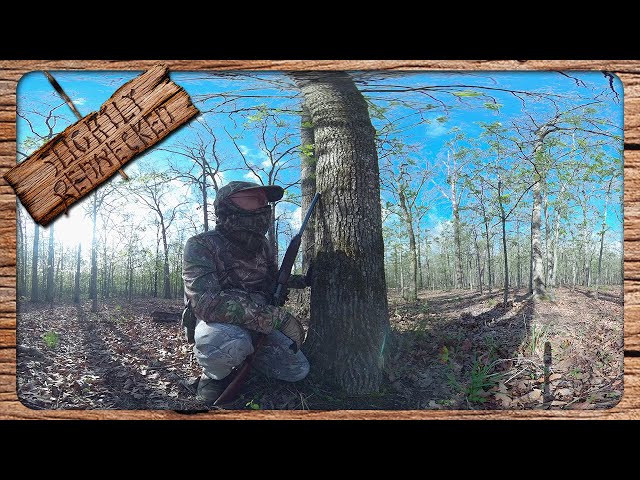 360 Video of My Unsuccessful Turkey Hunt