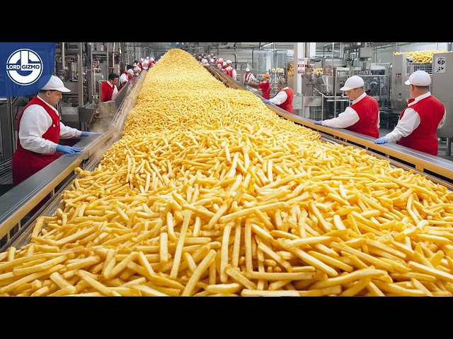 How Millions Of Tons Of McDonald's French Fries AND Burgers Are Made In Mega Factory