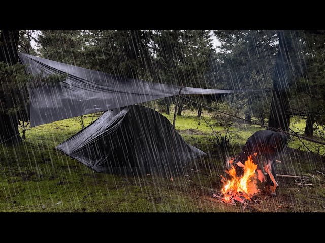 Relaxing SOLO Camping with Rain Forest views I gloomy weather, cozy shelter, rain ASMR |