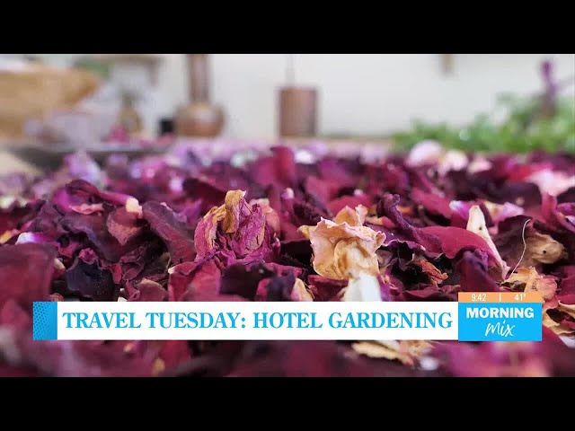 Travel Tuesday: Hotel gardening