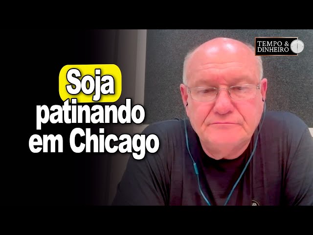 Soja patinando em Chicago, analisa Vlamir Brandalizze