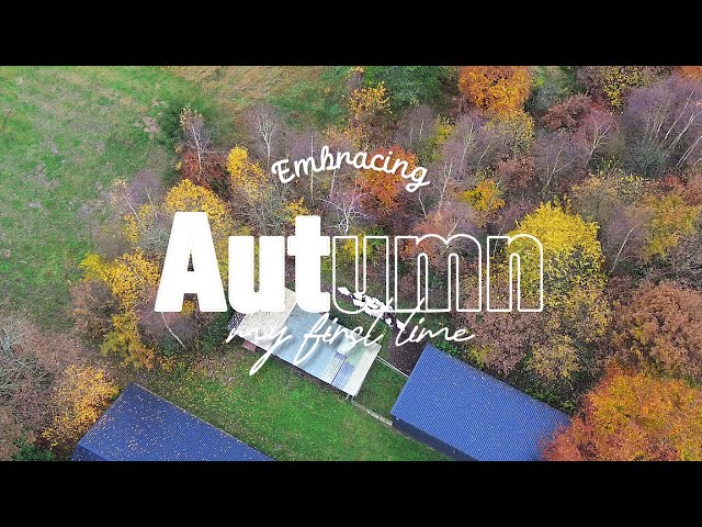 First Autumn| small town in Denmark| Embracing Fall ambience