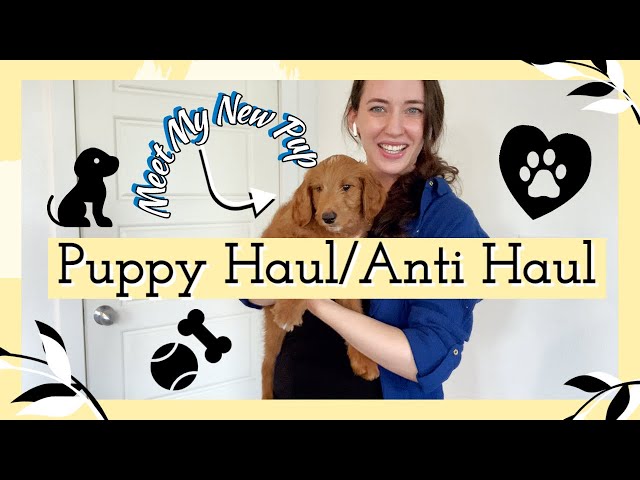 Meet My Puppy! | Puppy Haul / Anti Haul | Everything You Need and Don't Need for Puppy!