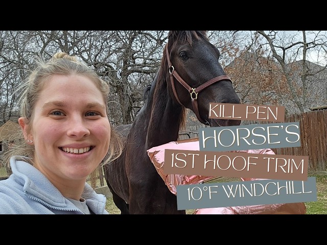 Farrier Day | Rescue Horse's First Hoof Trim | Kill Pen to Dressage Arena Ep.2