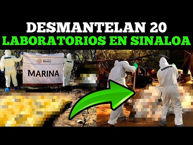 Desmantelan 20 laboratorios en Sinaloa en dos días