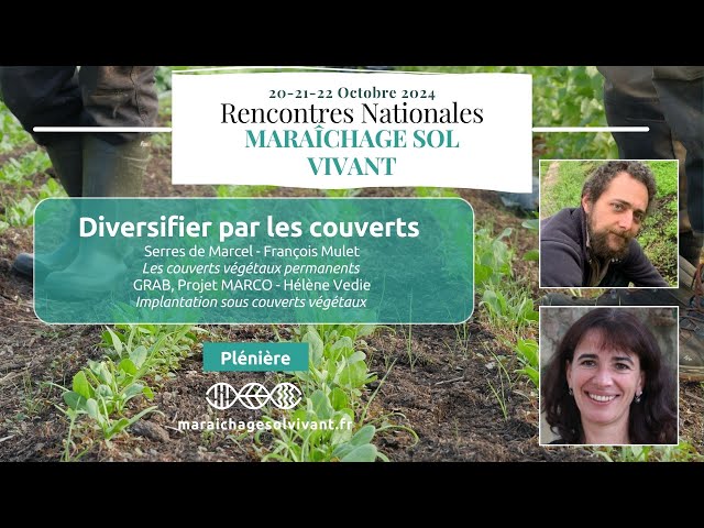 Diversifier avec les couverts végétaux - Rencontres nationales MSV 2024