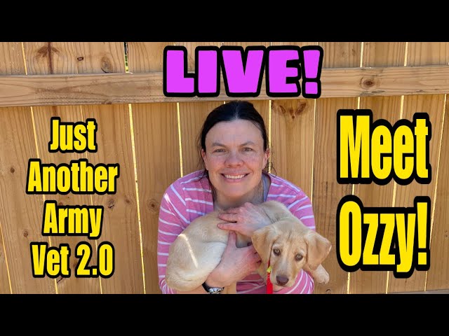 Meet Ozzy! Just Another Army Vet 2.0 is live!