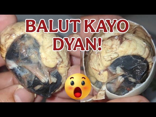 🔴ASMR Balut Duck Embryo EXOTIC DELICACY ep.57