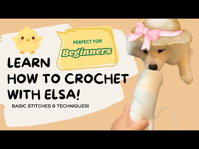 Learn Easy Crochet Stitches with Elsa the Samoyed! 🐾 Fun and  Beginner-Friendly! 🧶