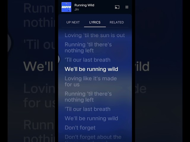 JIN RUNNING WILD LYRICS PT-2