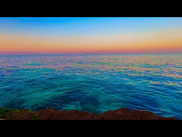 Fall Asleep on a Beautiful Seashore: 4K Relaxing Ocean Waves | 50 Minutes🌊🌴