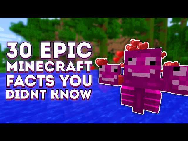 30 EPIC MINECRAFT FACTS YOU DIDNT KNOW!