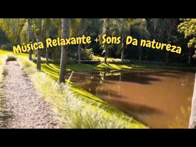 ✅ Música para Relaxar | Sons Relaxantes da Natureza - acalma o sistema nervoso #relaxing #musicalm