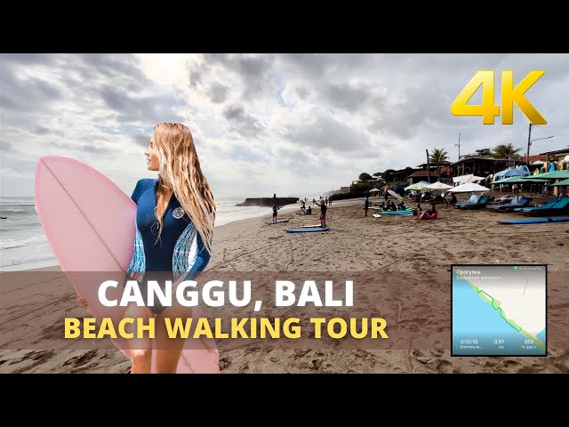 A walk on the beach among surfers in CANGGU BALI INDONESIA: 4K VIRTUAL WALKING TOUR