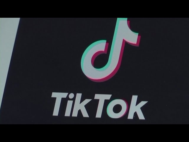 TikTok shuts down in US as ban takes effect