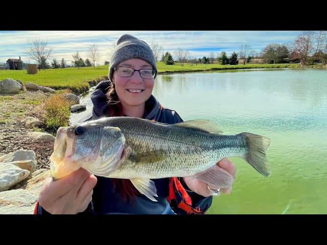 Fall Bass On LIVE Minnows!!!