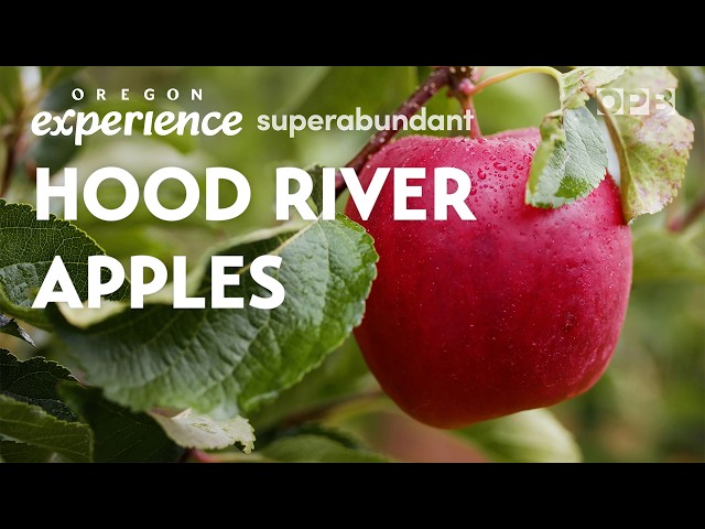 Apple ‘paradise’ in the Hood River Valley | Oregon Experience | Superabundant