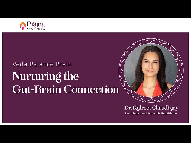 Prajna Ayurveda's Veda Balance Brain: Nurturing the Gut-Brain Connection