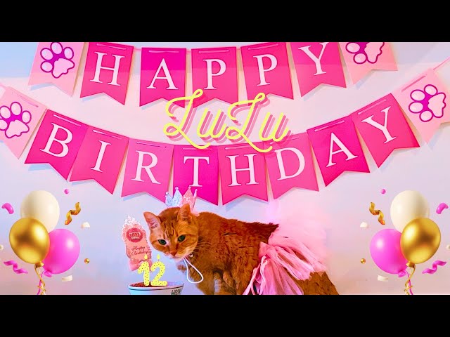 Beyonce Singing Happy Birthday To My Cat 👑🩷🥳