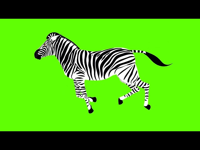 Copyright Free Green Screen Animated Animals | Zebra Green Screen | Animal