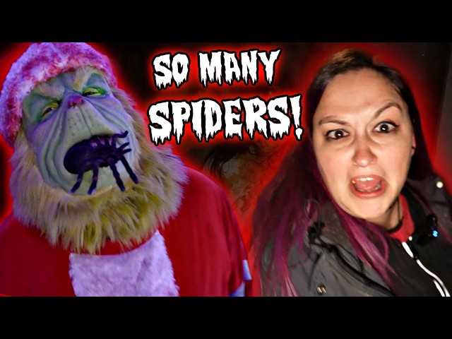 The MOST SPIDERS in a Haunted House, EVER