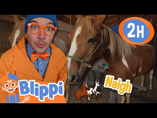 Blippi Meets Horses for the First Time! | Learning Through Play | Blippi