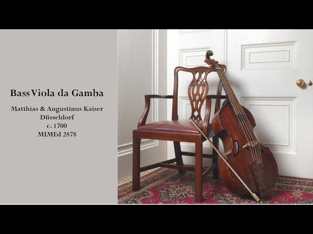 Bass viola da gamba