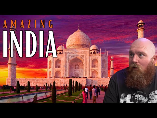 Australian Reacts to Incredible India In 14 Mins