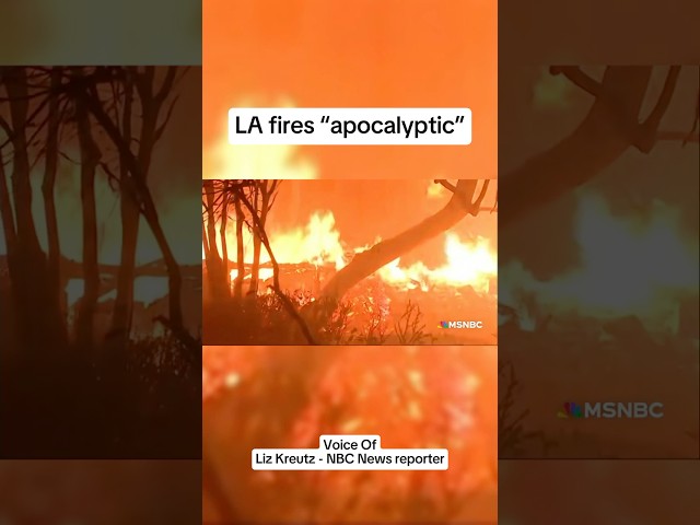 L.A. fires 'apocalyptic'