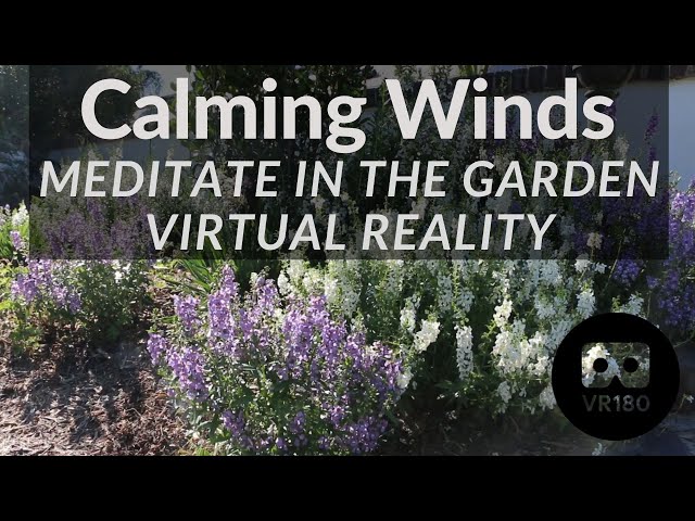 Meditate / Relax in the Reynolda Gardens VR180