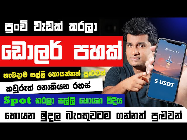 online job sinhala   online job at home sinhala   E money sinhala   Crypto.com haraha salli hoyamu