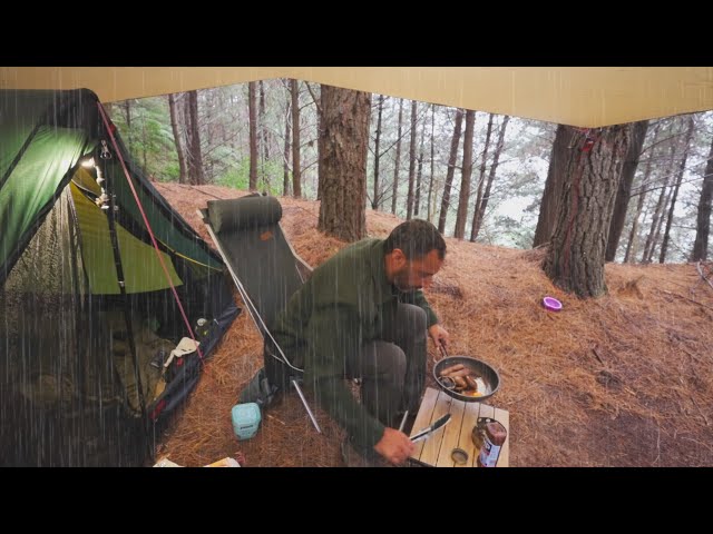 CAMPING in RAIN - Pine Forest - Rain ASMR