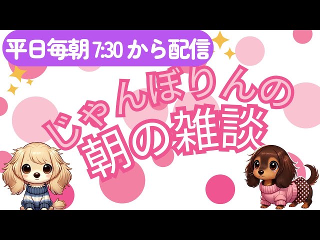 2025/02/21(金) じゃんぼりんの朝の雑談 #ペット #ダックスフンド #保護犬