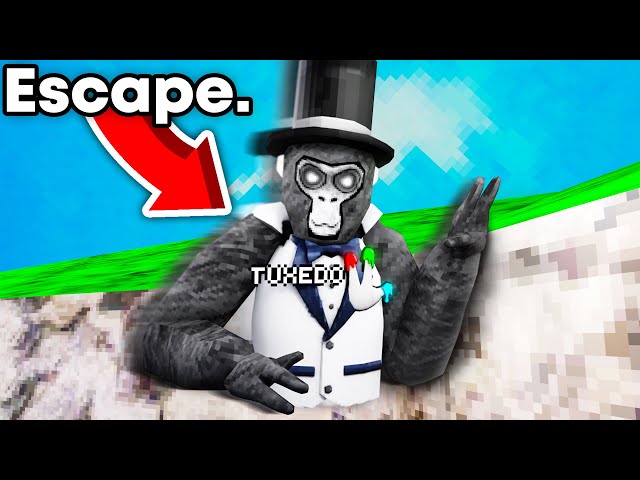 I Learned BANNED Skills In Gorilla Tag...