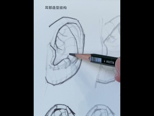 human art drawing｜Ears Look Flat? Fix That With These Fun Tips for Realistic Ears!