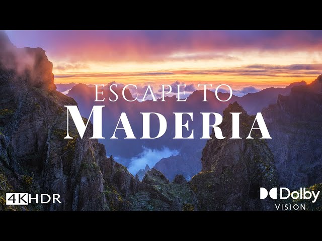 The Secret Tropical Paradise of Madeira