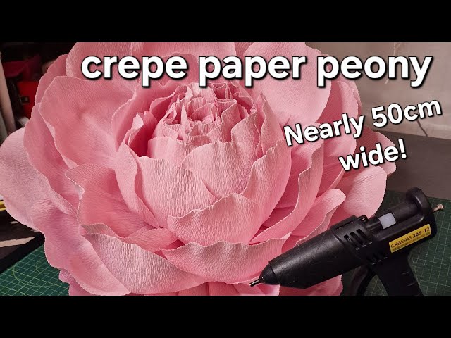 DIY Large crepe paper peony flower tutorial