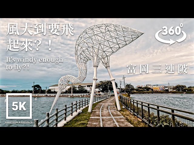 5K 360 VR Taiwan Walk 空拍富岡三連陂白鷺鷥 Drone Fukang Pond Egret Taoyuan Asmr Amateur Ambience  Flaneur