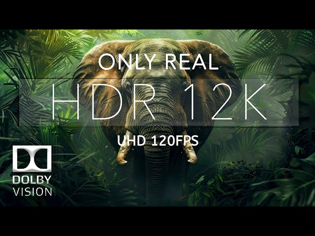 Unveiling The Magic of 12K HDR 120fps Dolby Vision