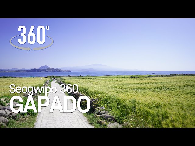 [360° VR Tour] Let’s walk on Gapado Island with green barley.