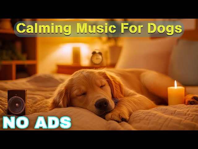 Dog Calming Music for Dogs 🎵 Dog Sleep Music 🐶 Separation Anxiety Relief Music ⭐No Ads