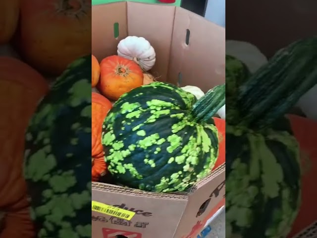 Pumpkins