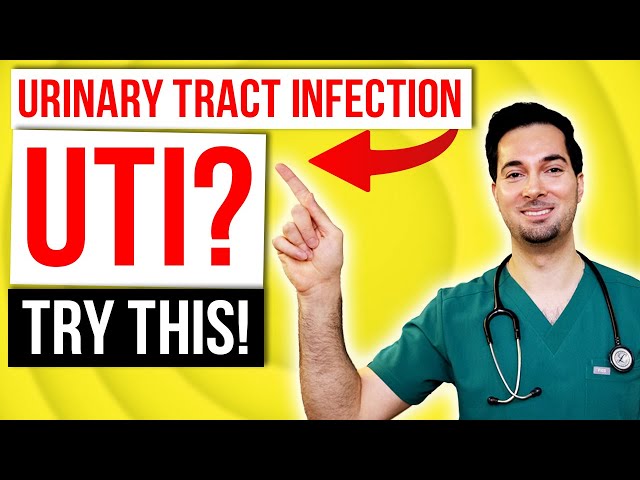 UTI infection in women treatment for female and how to treat