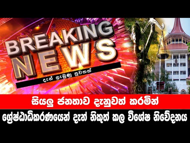 breaking news|election prediction srilanka news|hiru news|political news|hiru tv live|news 1st