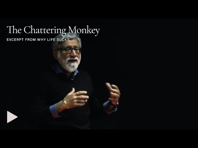 The Chattering Monkey