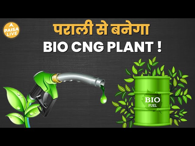 Reliance का Bio CNG Plant: मध्य प्रदेश में किसानों को मिलेगा फायदा ! | Paisa Live