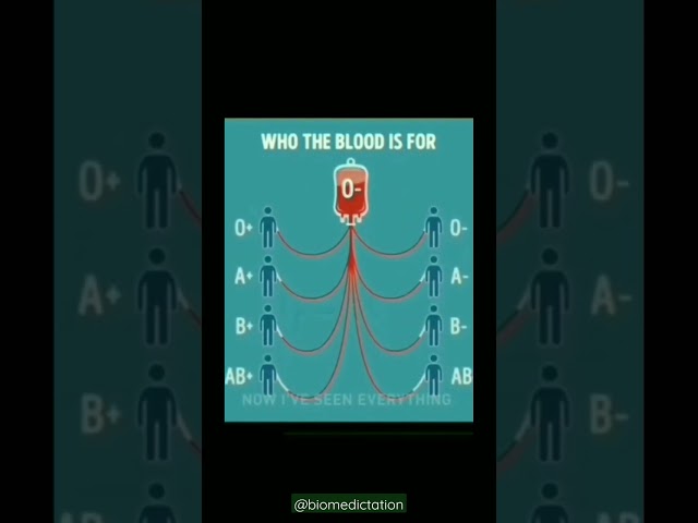 Who can donate blood to you?|Successful BLOOD TRANSFUSION|#shorts #bloodgroup #biomedictation #neet