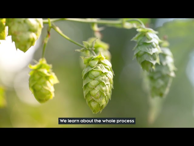 Brewing & Distilling at Heriot-Watt